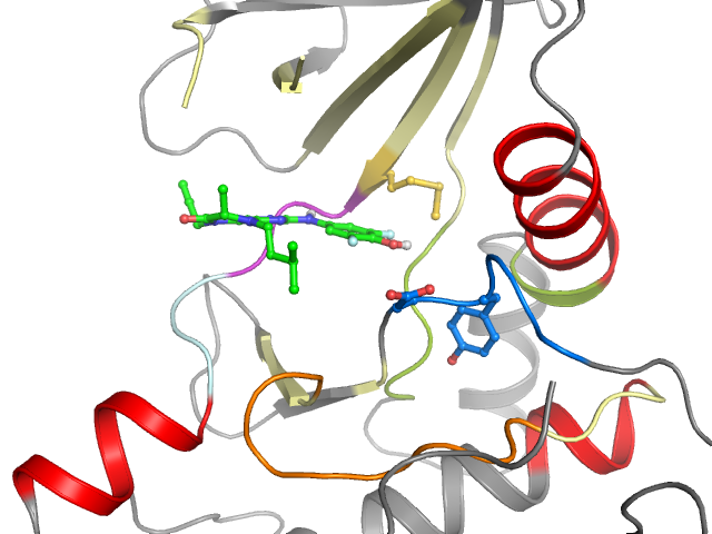 The orthosteric binding pocket
