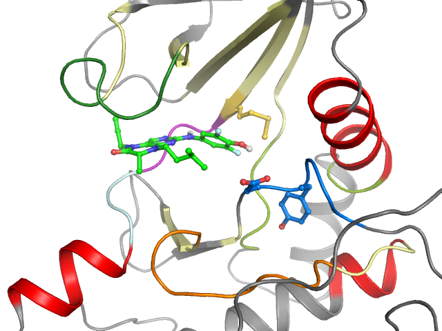 The orthosteric binding pocket