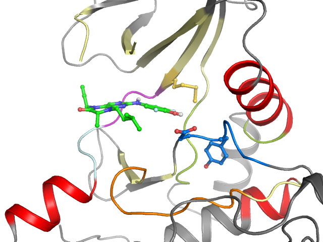 The orthosteric binding pocket