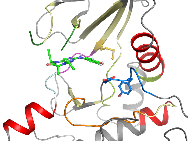 The orthosteric binding pocket