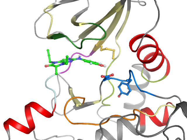 The orthosteric binding pocket