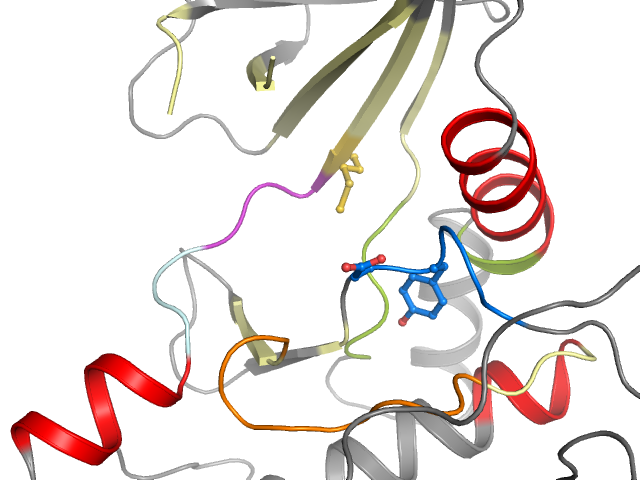 The orthosteric binding pocket