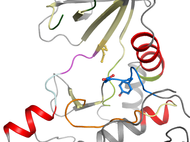 The orthosteric binding pocket
