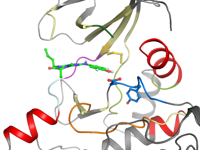 The orthosteric binding pocket