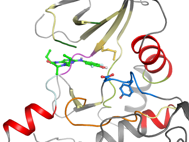 The orthosteric binding pocket