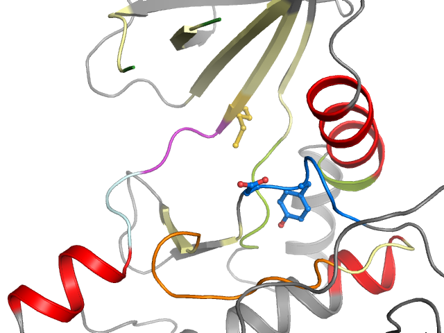 The orthosteric binding pocket
