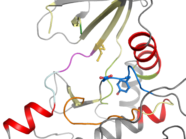 The orthosteric binding pocket