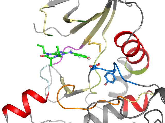 The orthosteric binding pocket