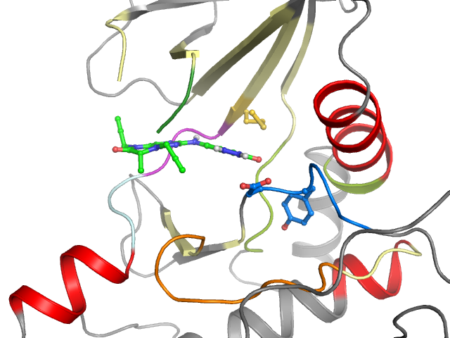 The orthosteric binding pocket