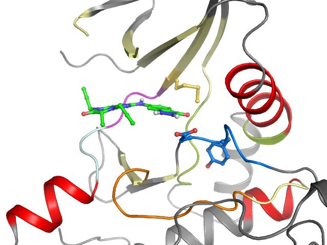 The orthosteric binding pocket