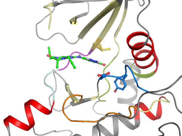 The orthosteric binding pocket