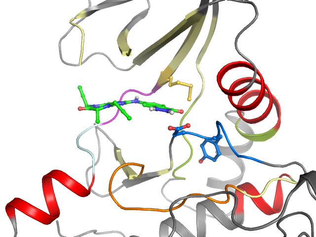 The orthosteric binding pocket