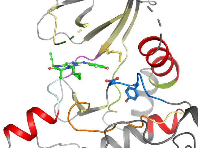 The orthosteric binding pocket