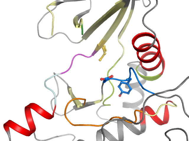 The orthosteric binding pocket