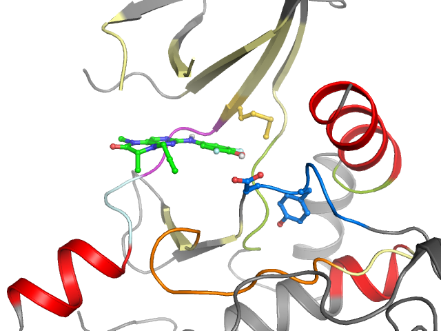 The orthosteric binding pocket