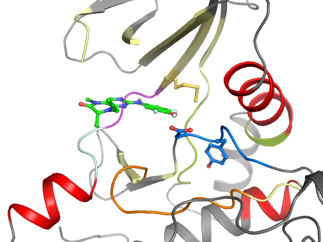 The orthosteric binding pocket