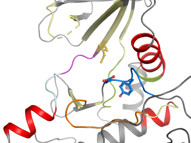 The orthosteric binding pocket