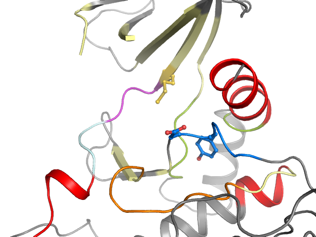The orthosteric binding pocket