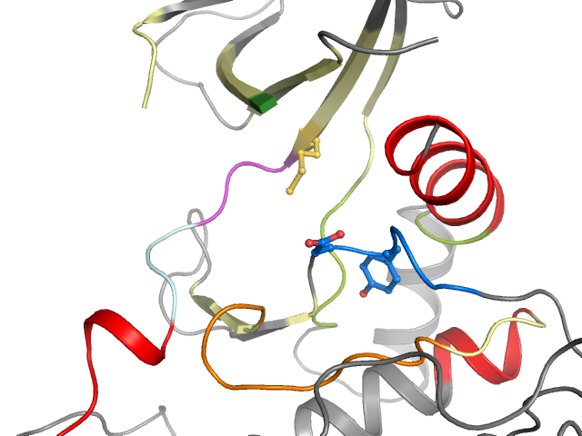 The orthosteric binding pocket