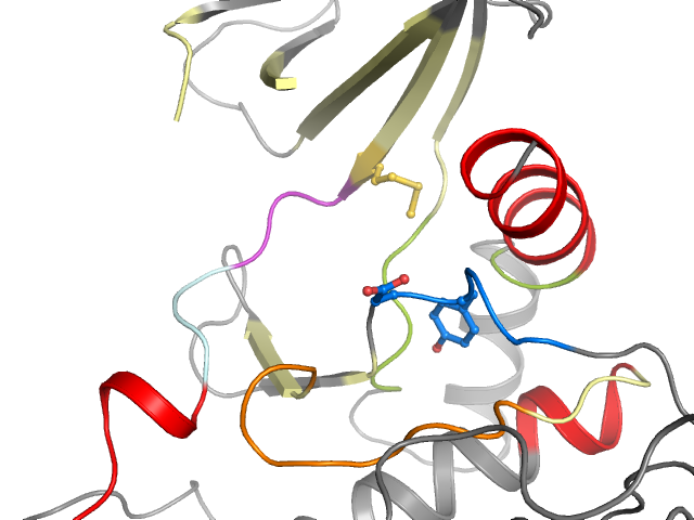 The orthosteric binding pocket