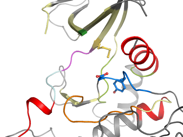 The orthosteric binding pocket