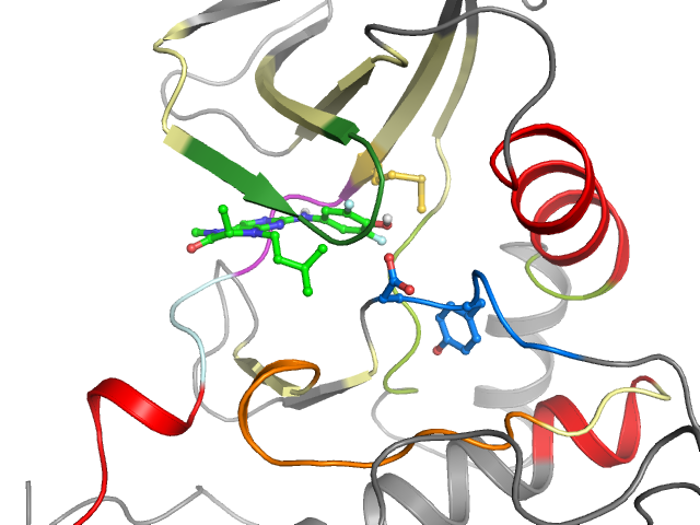 The orthosteric binding pocket
