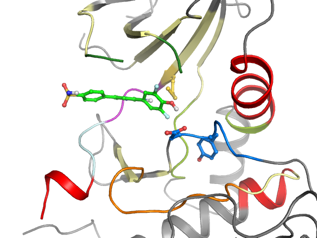 The orthosteric binding pocket