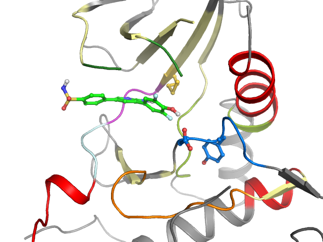 The orthosteric binding pocket