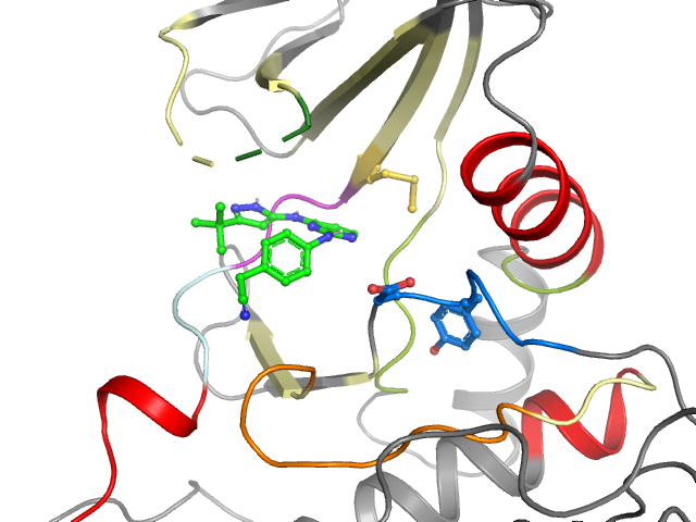 The orthosteric binding pocket