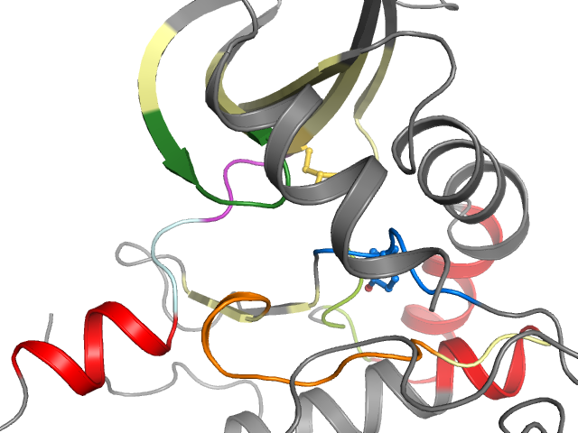 The orthosteric binding pocket