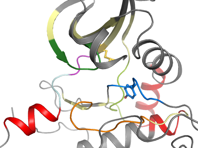 The orthosteric binding pocket