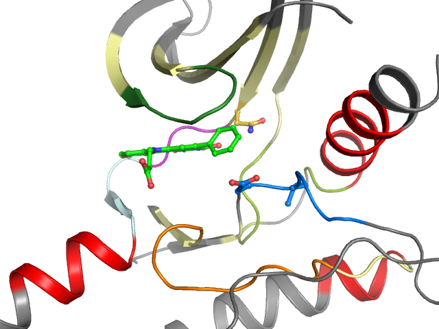 The orthosteric binding pocket