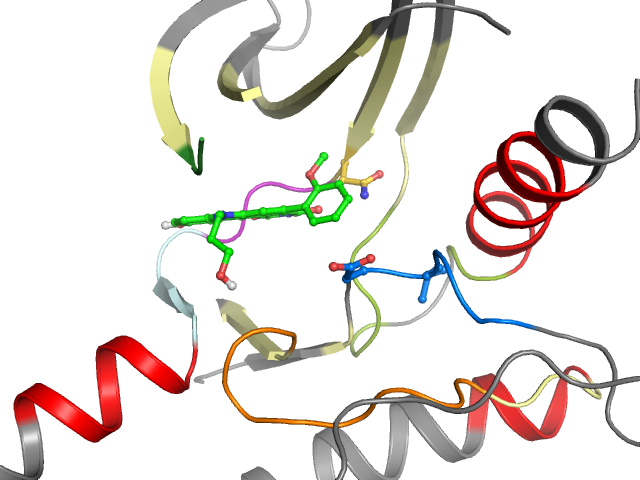 The orthosteric binding pocket