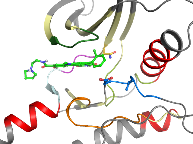 The orthosteric binding pocket