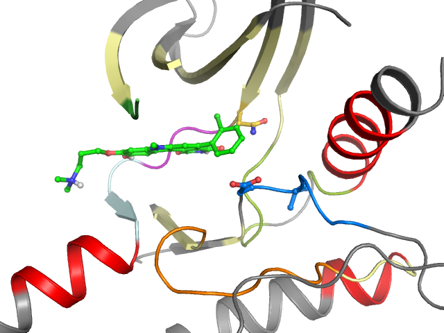 The orthosteric binding pocket