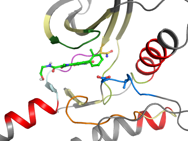 The orthosteric binding pocket