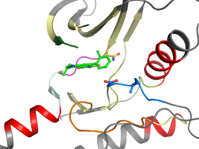 The orthosteric binding pocket