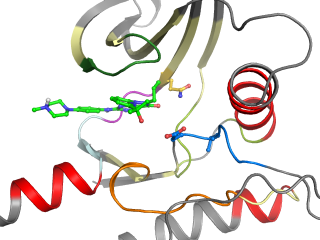 The orthosteric binding pocket