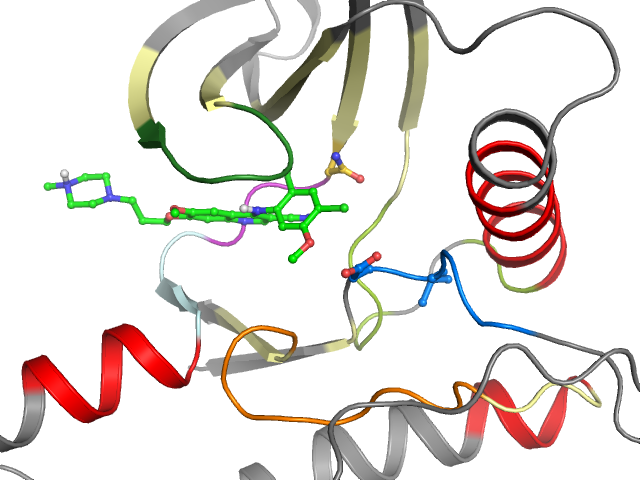 The orthosteric binding pocket