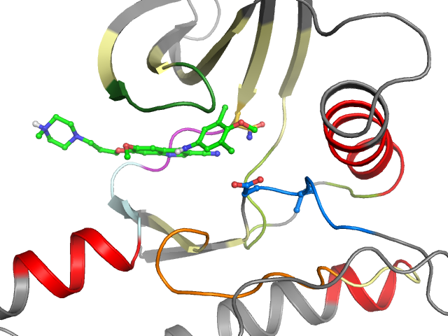 The orthosteric binding pocket