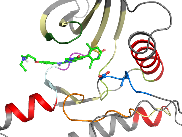 The orthosteric binding pocket