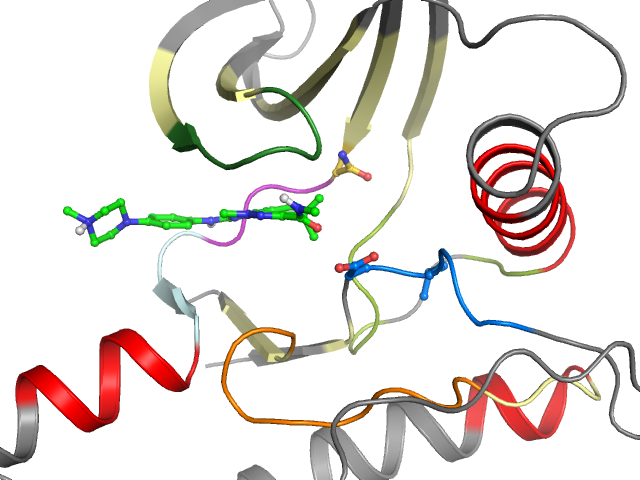The orthosteric binding pocket
