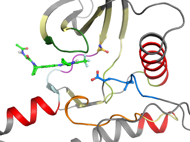 The orthosteric binding pocket