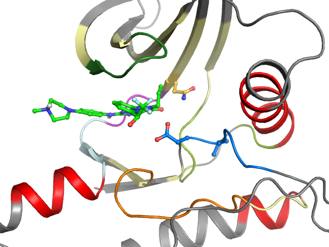 The orthosteric binding pocket