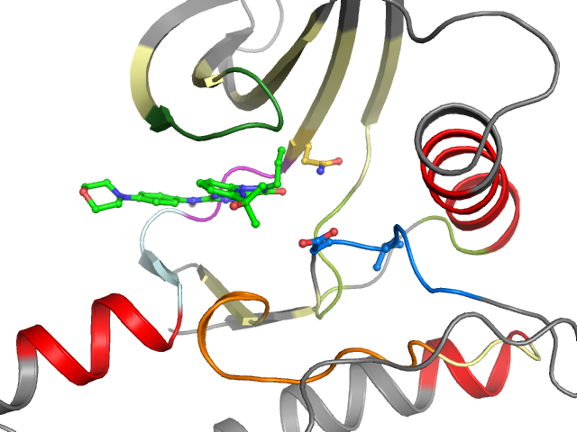 The orthosteric binding pocket