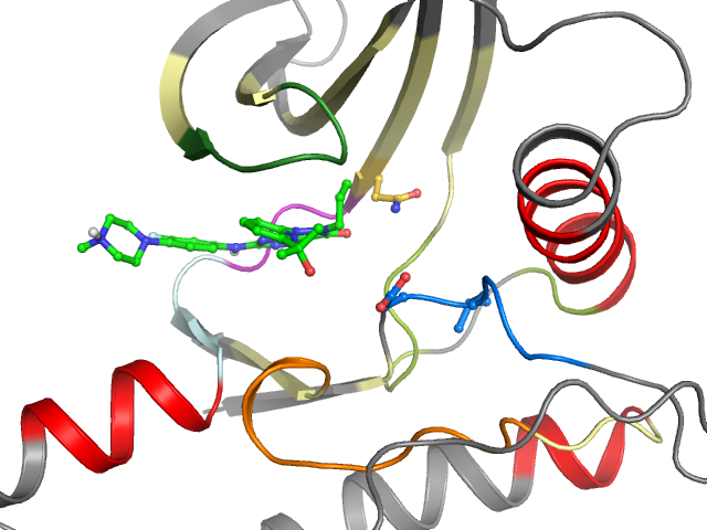 The orthosteric binding pocket
