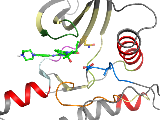 The orthosteric binding pocket
