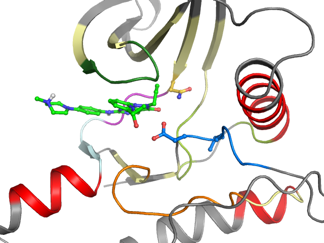 The orthosteric binding pocket