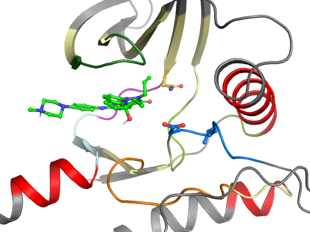 The orthosteric binding pocket