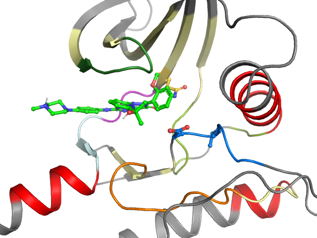 The orthosteric binding pocket